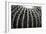 Spiny Rows-Alan Hausenflock-Framed Photographic Print