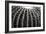 Spiny Rows-Alan Hausenflock-Framed Photographic Print