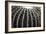 Spiny Rows-Alan Hausenflock-Framed Photographic Print