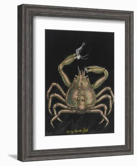 Spiny Spider Crab-Philip Henry Gosse-Framed Giclee Print