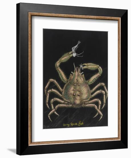 Spiny Spider Crab-Philip Henry Gosse-Framed Giclee Print