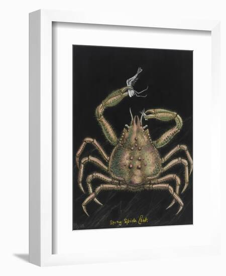 Spiny Spider Crab-Philip Henry Gosse-Framed Giclee Print