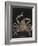 Spiny Spider Crab-Philip Henry Gosse-Framed Giclee Print