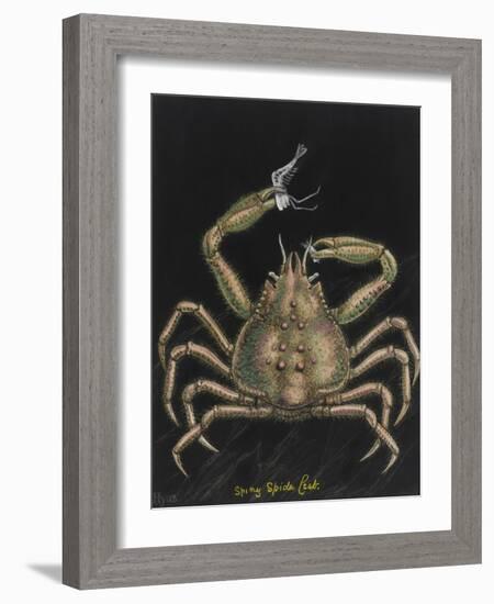 Spiny Spider Crab-Philip Henry Gosse-Framed Giclee Print