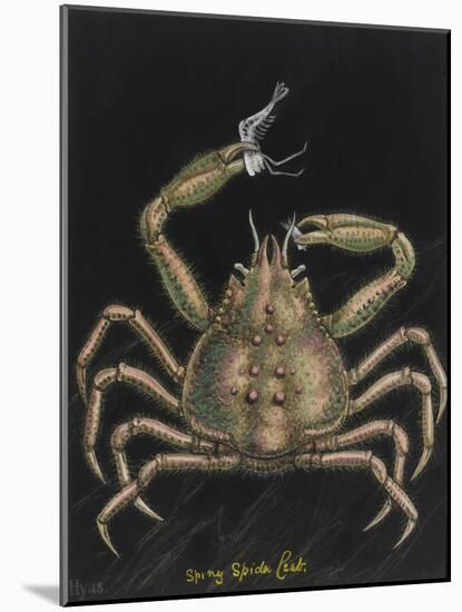 Spiny Spider Crab-Philip Henry Gosse-Mounted Giclee Print