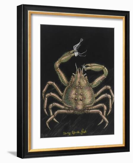 Spiny Spider Crab-Philip Henry Gosse-Framed Giclee Print