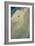 Spiral Descent-Christopher Richard Wynne Nevinson-Framed Giclee Print