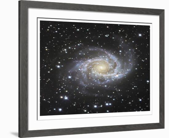 Spiral Galaxy in Antlia-Robert Gendler-Framed Giclee Print