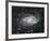 Spiral Galaxy in Antlia-Robert Gendler-Framed Giclee Print