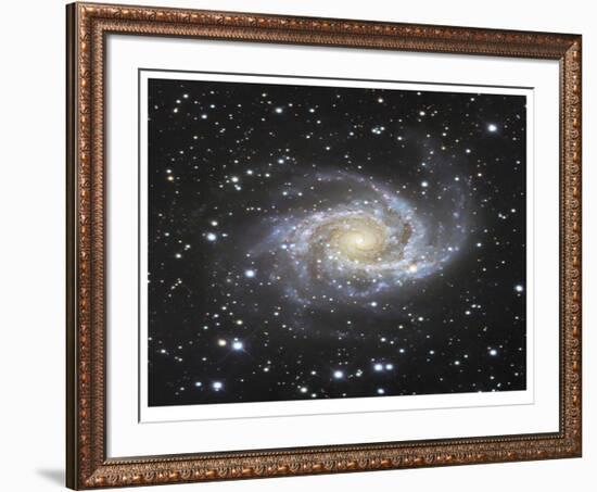 Spiral Galaxy in Antlia-Robert Gendler-Framed Giclee Print