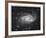 Spiral Galaxy in Antlia-Robert Gendler-Framed Giclee Print