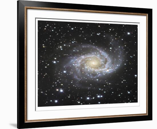 Spiral Galaxy in Antlia-Robert Gendler-Framed Giclee Print