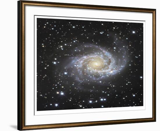 Spiral Galaxy in Antlia-Robert Gendler-Framed Giclee Print