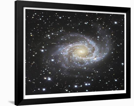 Spiral Galaxy in Antlia-Robert Gendler-Framed Giclee Print