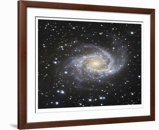 Spiral Galaxy in Antlia-Robert Gendler-Framed Giclee Print