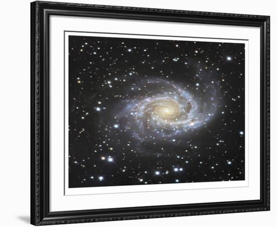 Spiral Galaxy in Antlia-Robert Gendler-Framed Giclee Print