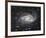 Spiral Galaxy in Antlia-Robert Gendler-Framed Giclee Print