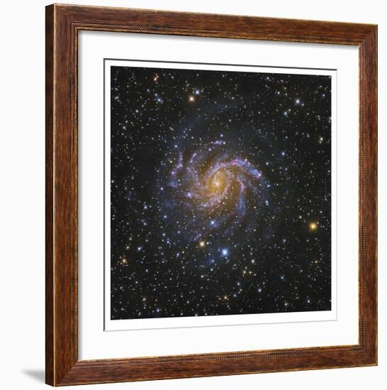 Spiral Galaxy in Cepheus-Robert Gendler-Framed Giclee Print