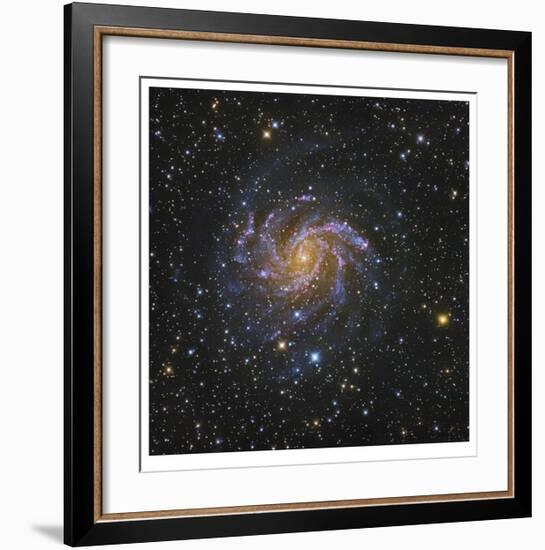 Spiral Galaxy in Cepheus-Robert Gendler-Framed Giclee Print