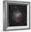 Spiral Galaxy in Cepheus-Robert Gendler-Framed Giclee Print