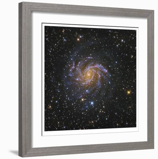 Spiral Galaxy in Cepheus-Robert Gendler-Framed Giclee Print