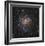 Spiral Galaxy in Cepheus-Robert Gendler-Framed Giclee Print