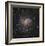 Spiral Galaxy in Cepheus-Robert Gendler-Framed Giclee Print