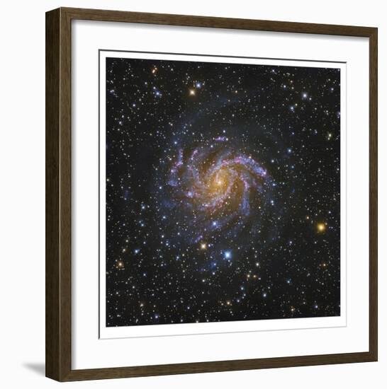 Spiral Galaxy in Cepheus-Robert Gendler-Framed Giclee Print