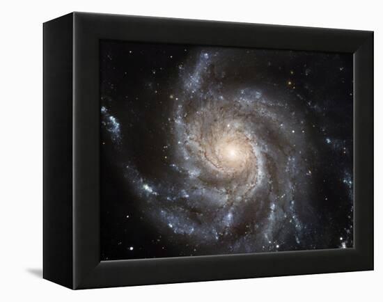 Spiral Galaxy M101-null-Framed Premier Image Canvas