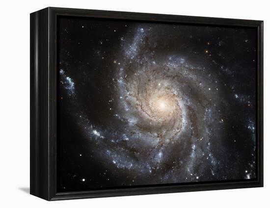 Spiral Galaxy M101-null-Framed Premier Image Canvas