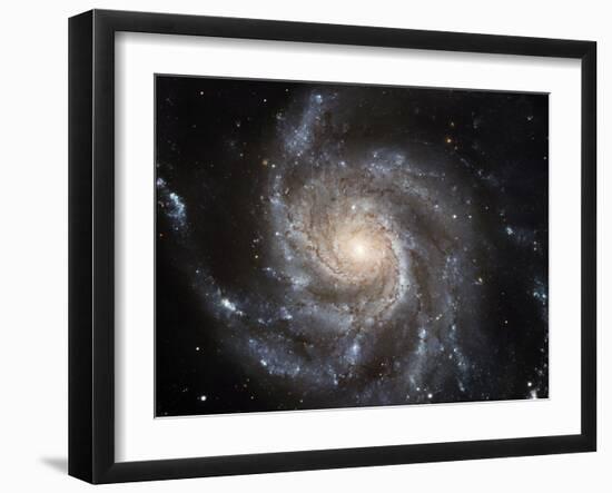 Spiral Galaxy M101-null-Framed Photographic Print