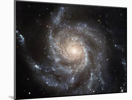 Spiral Galaxy M101-null-Mounted Photographic Print