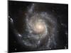 Spiral Galaxy M101-null-Mounted Photographic Print