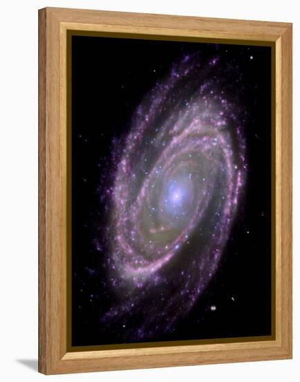 Spiral Galaxy M81, Composite Image-null-Framed Premier Image Canvas