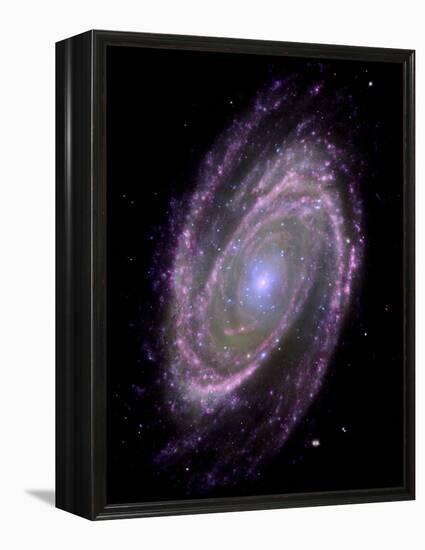 Spiral Galaxy M81, Composite Image-null-Framed Premier Image Canvas