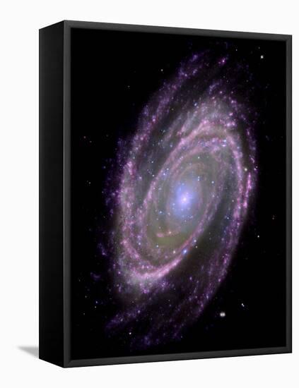 Spiral Galaxy M81, Composite Image-null-Framed Premier Image Canvas