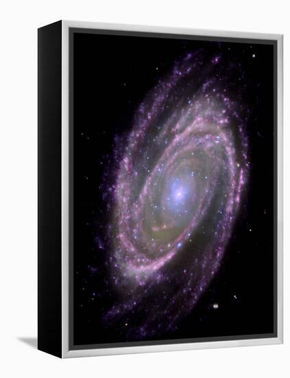 Spiral Galaxy M81, Composite Image-null-Framed Premier Image Canvas