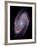 Spiral Galaxy M81, Composite Image-null-Framed Photographic Print