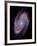 Spiral Galaxy M81, Composite Image-null-Framed Photographic Print