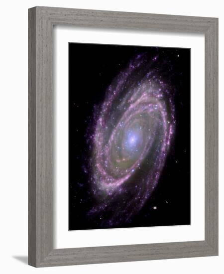 Spiral Galaxy M81, Composite Image-null-Framed Photographic Print