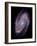 Spiral Galaxy M81, Composite Image-null-Framed Photographic Print