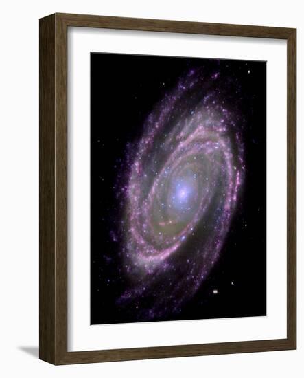 Spiral Galaxy M81, Composite Image-null-Framed Photographic Print