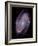 Spiral Galaxy M81, Composite Image-null-Framed Photographic Print