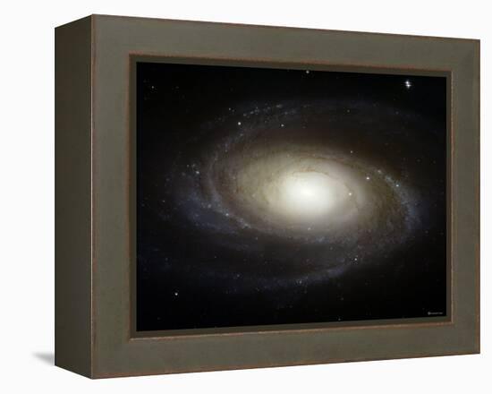 Spiral Galaxy M81-Stocktrek Images-Framed Premier Image Canvas