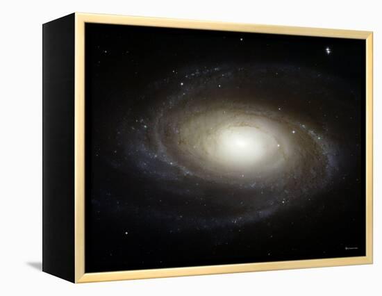 Spiral Galaxy M81-Stocktrek Images-Framed Premier Image Canvas