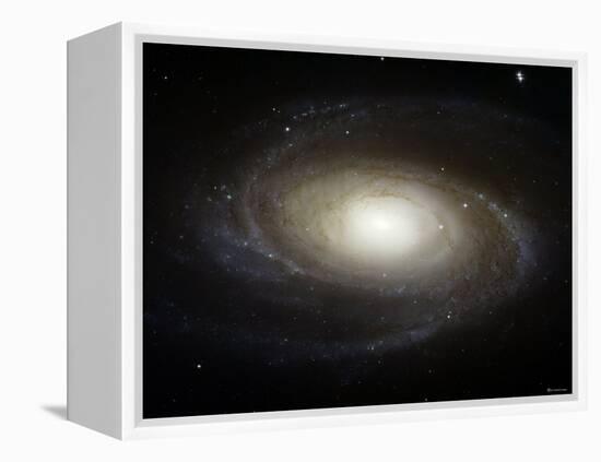 Spiral Galaxy M81-Stocktrek Images-Framed Premier Image Canvas