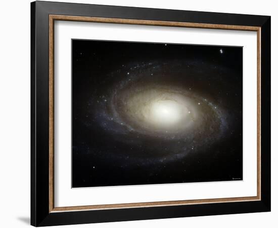 Spiral Galaxy M81-Stocktrek Images-Framed Photographic Print