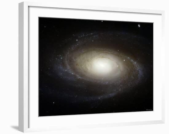 Spiral Galaxy M81-Stocktrek Images-Framed Photographic Print