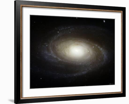 Spiral Galaxy M81-Stocktrek Images-Framed Photographic Print