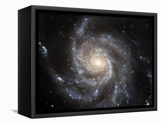 Spiral Galaxy Messier 101 (M101)-Stocktrek Images-Framed Premier Image Canvas